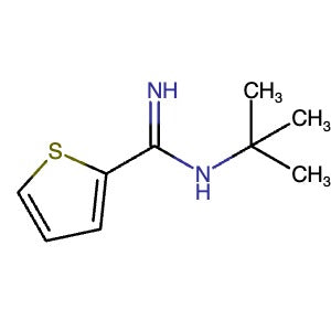 1340148-56-2 | N-tert-Butylthiophene-2-carboximidamide - Hoffman Fine Chemicals