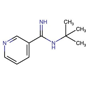 CAS 1344253-10-6 | N-tert-Butylpyridine-3-carboximidamide