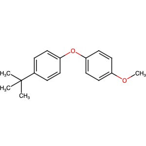 134822-96-1 | 1-(4-tert-Butylphenoxy)-4-methoxybenzene - Hoffman Fine Chemicals