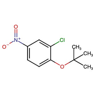 160617-85-6 | 2-Chloro-1-(1,1-dimethylethoxy)-4-nitrobenzene - Hoffman Fine Chemicals