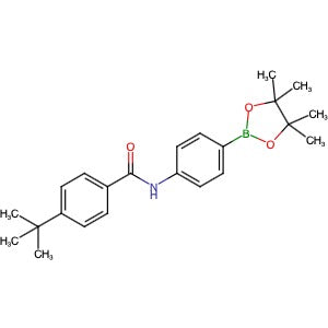 1872388-26-5 | 4-(tert-Butyl)-N-(4-(4,4,5,5-tetramethyl-1,3,2-dioxaborolan-2-yl)phenyl)benzamide - Hoffman Fine Chemicals