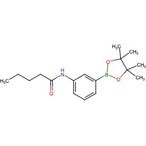 2246886-35-9 | Pentanamide, N-[3-(4,4,5,5-tetramethyl-1,3,2-dioxaborolan-2-yl)phenyl]- - Hoffman Fine Chemicals