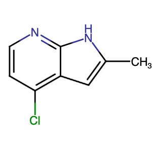 307951-53-7 | 4-Chloro-2-methyl-1H-pyrrolo[2,3-b]pyridine - Hoffman Fine Chemicals
