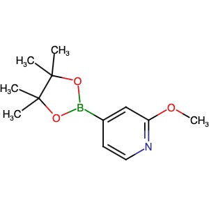 408502-23-8 | 2-Methoxypyridine-4-boronic acid pinacol ester - Hoffman Fine Chemicals