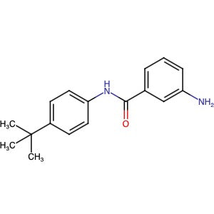 564483-26-7 | 3-Amino-N-[4-(1,1-dimethylethyl)phenyl]benzamide - Hoffman Fine Chemicals