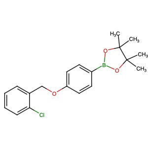 854371-84-9 | 2-[4-[(2-Chlorophenyl)methoxy]phenyl]-4,4,5,5-tetramethyl-1,3,2-dioxaborolane - Hoffman Fine Chemicals