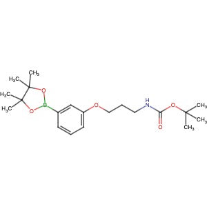 885594-74-1 | tert-Butyl (3-(3-(4,4,5,5-tetramethyl-1,3,2-dioxaborolan-2- yl)phenoxy)propyl)carbamate - Hoffman Fine Chemicals
