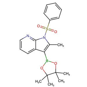 943324-08-1 | 2-Methyl-1-(phenylsulfonyl)-3-(4,4,5,5-tetramethyl-1,3,2-dioxaborolan-2-yl)-1H-pyrrolo[2,3-b]pyridine - Hoffman Fine Chemicals