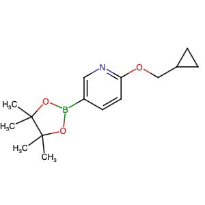 947191-69-7 | 2-(Cyclopropylmethoxy)-5-(4,4,5,5-tetramethyl-1,3,2-dioxaborolan-2-yl)pyridine - Hoffman Fine Chemicals