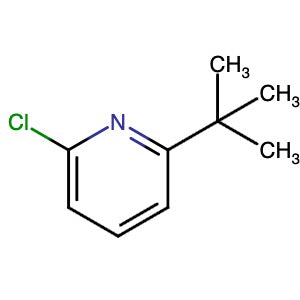 97691-23-1 | 2-(tert-Butyl)-6-chloropyridine - Hoffman Fine Chemicals