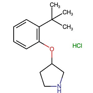 1146956-94-6 | 3-(2-(tert-Butyl)phenoxy)pyrrolidine hydrochloride - Hoffman Fine Chemicals