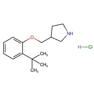 1146960-38-4 | 3-[(2-tert-Butylphenoxy)methyl]pyrrolidine Hydrochloride - Hoffman Fine Chemicals