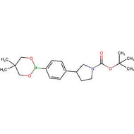 1467060-29-2 | tert-Butyl 3-(4-(5,5-dimethyl-1,3,2-dioxaborinan-2-yl)phenyl)pyrrolidine-1-carboxylate - Hoffman Fine Chemicals